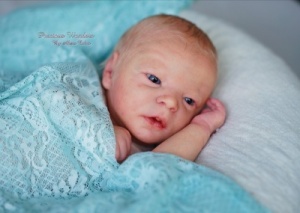 Darren AWAKE Realborn